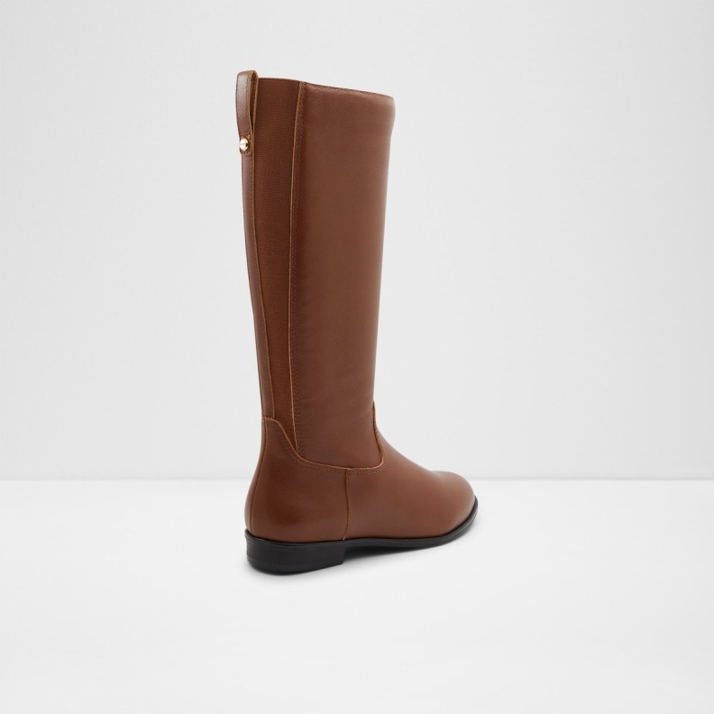Medium Brown Fashion Aldo New Arrival Riraven Riding Boot Block Heel