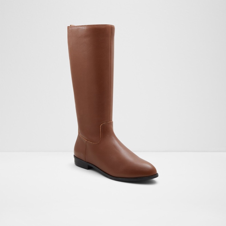 Medium Brown Fashion Aldo New Arrival Riraven Riding Boot Block Heel