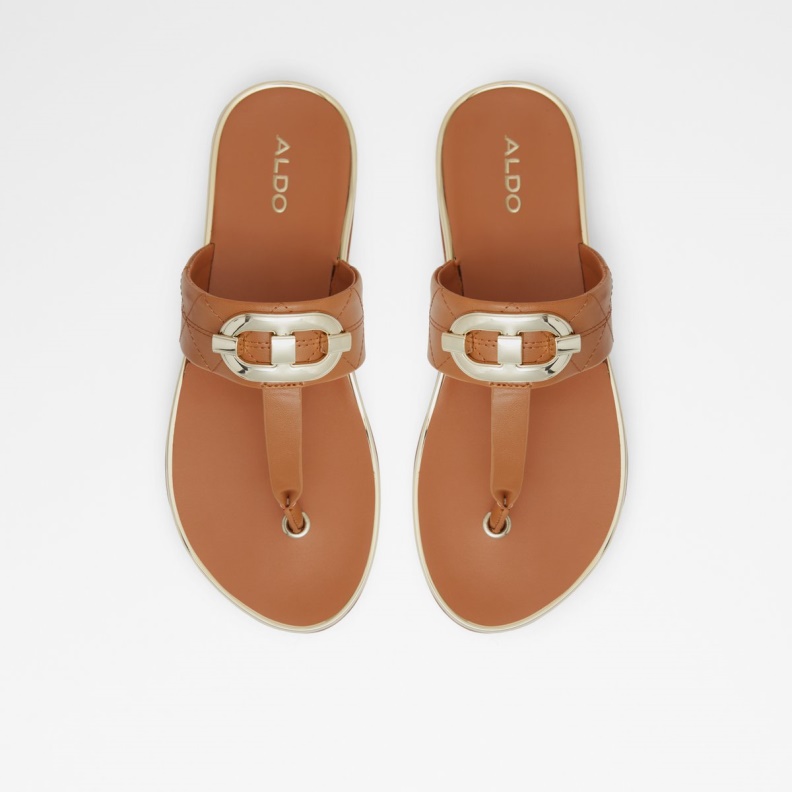 Fashion Medium Brown Aldo Searene Flip Flop