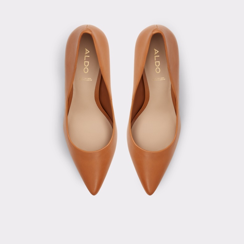 Medium Brown Sereniti Pump Stiletto Heel Fashion Aldo