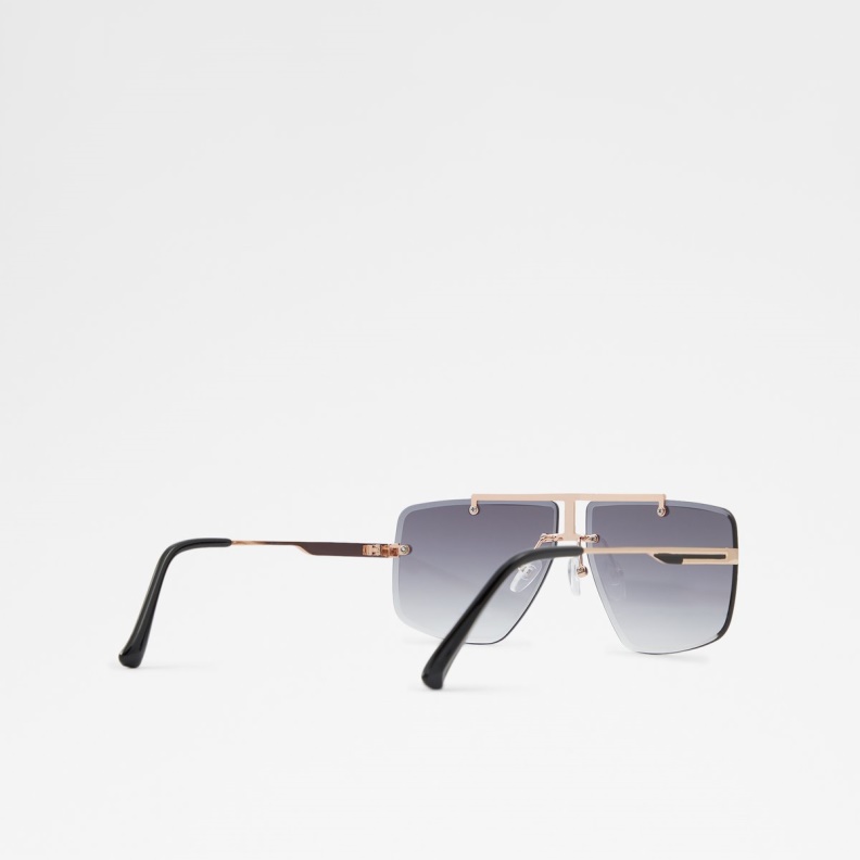 Black-Gold Multi Silikatu Sunglasses Fashion Aldo