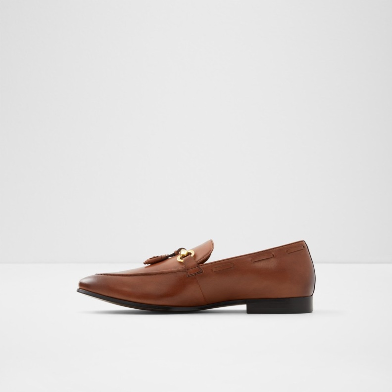 Stokhid Loafer Fashion Aldo Cognac
