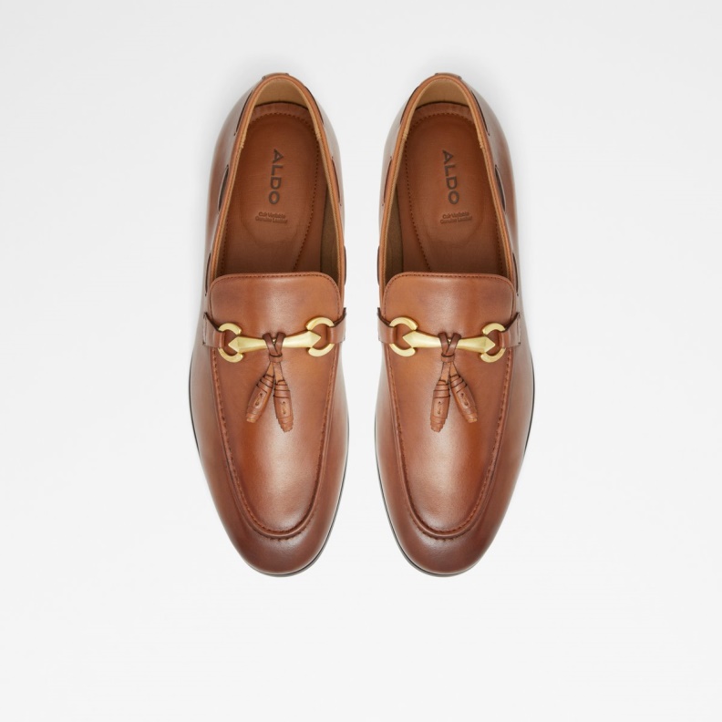 Stokhid Loafer Fashion Aldo Cognac