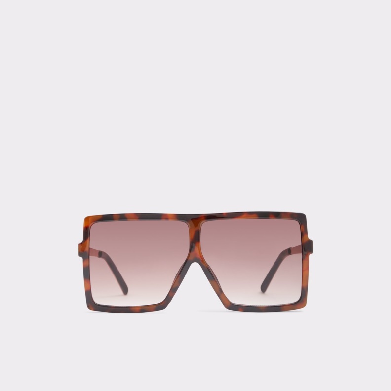 Fashion Brown Aldo Truwin Square Sunglasses