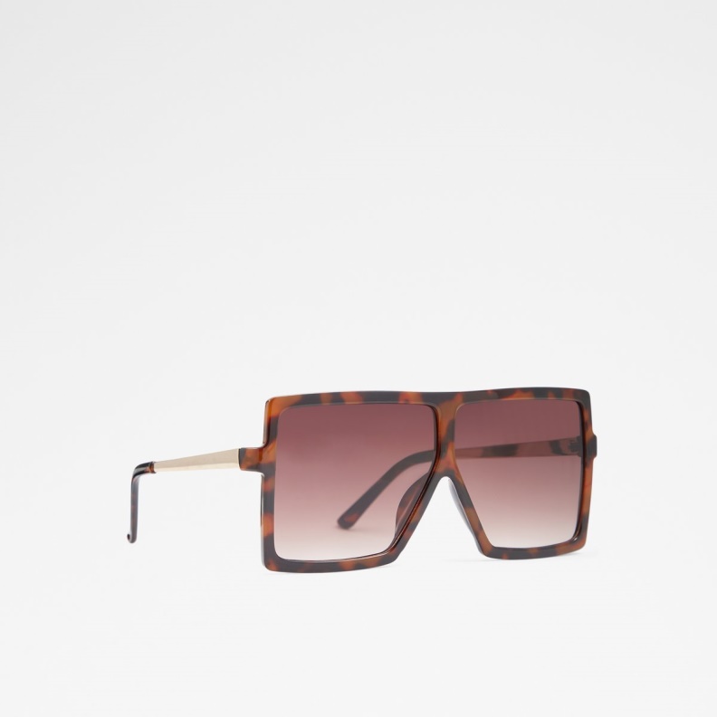 Fashion Brown Aldo Truwin Square Sunglasses