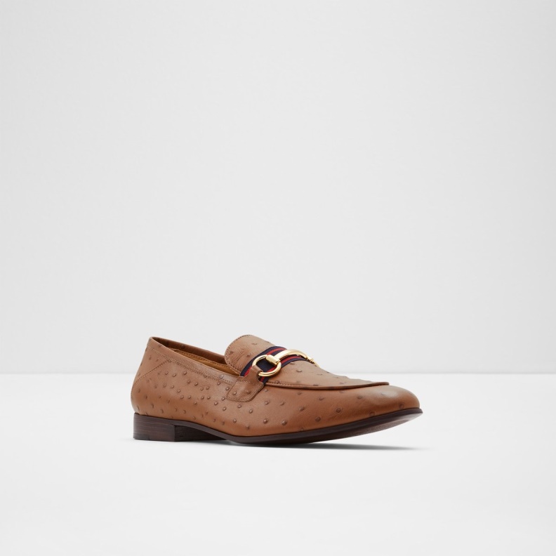 Brown Trywen Loafer Fashion Aldo