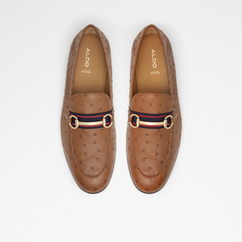 Brown Trywen Loafer Fashion Aldo