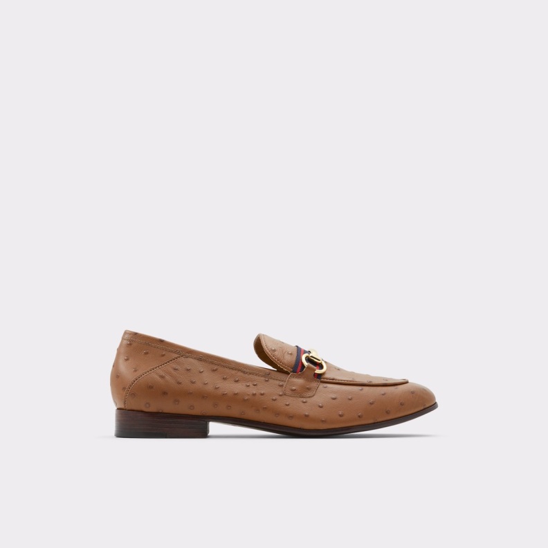 Trywen Loafer Fashion Brown Aldo