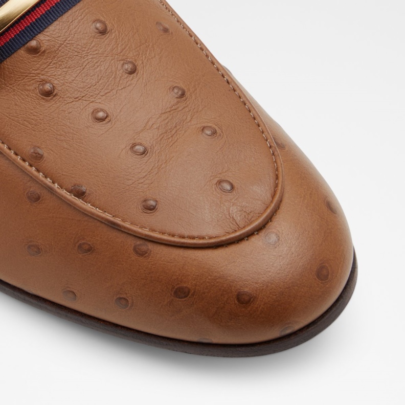 Trywen Loafer Fashion Brown Aldo