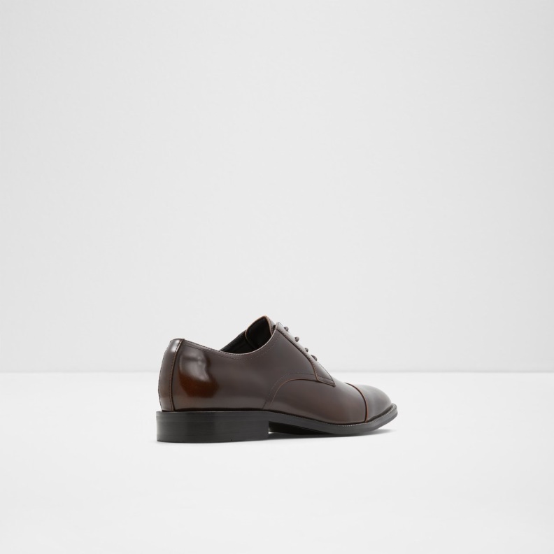 Fashion Aldo Dark Brown Tuxido Oxford Shoe