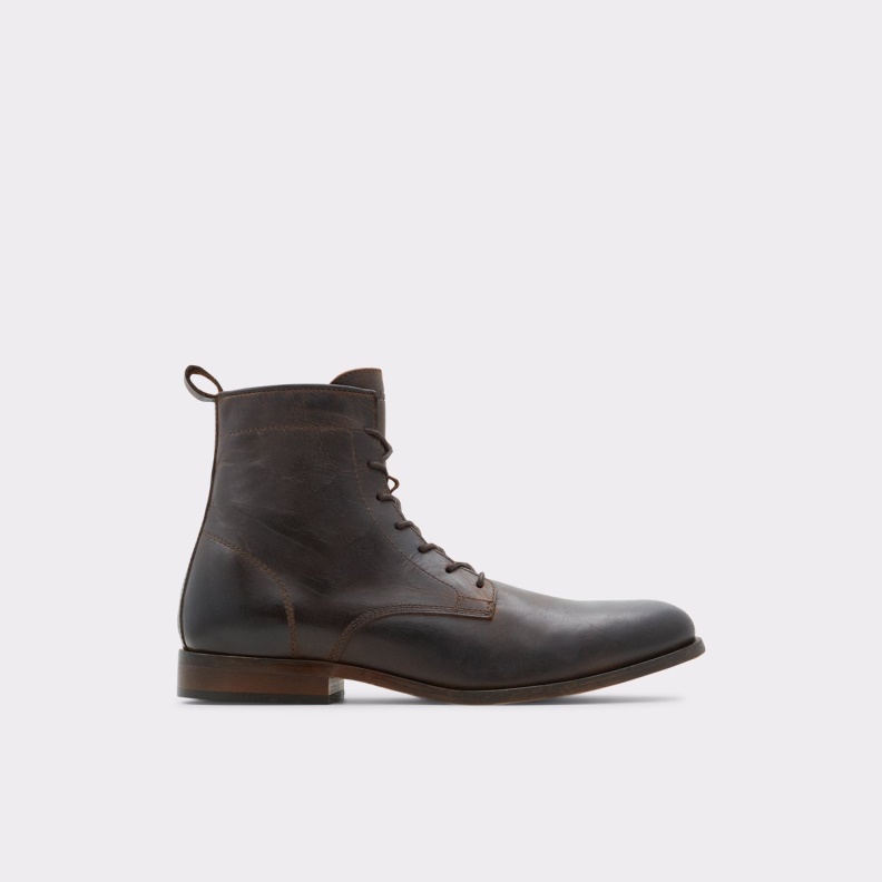 Twain Lace-Up Boot Fashion Aldo Brown