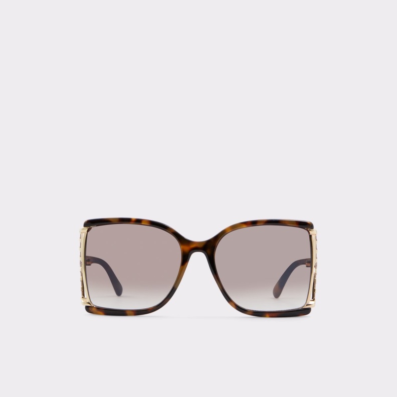 Fashion Aldo Uliravia Sunglasses Brown