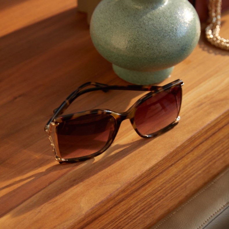 Fashion Aldo Uliravia Sunglasses Brown