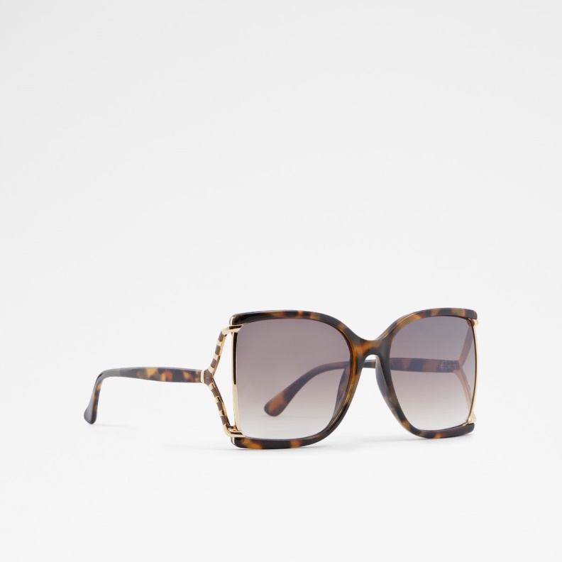 Fashion Aldo Uliravia Sunglasses Brown
