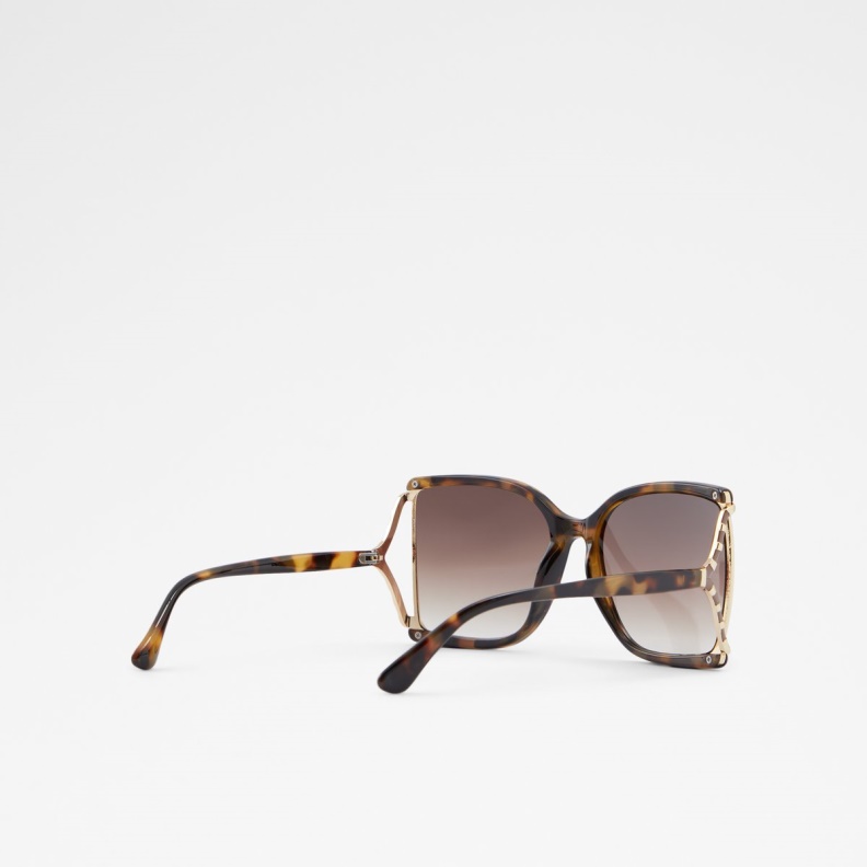 Fashion Aldo Uliravia Sunglasses Brown