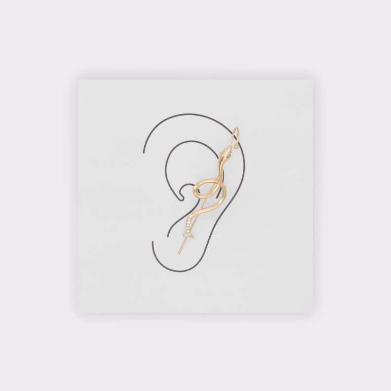 Last Chance Vaoveth Earrings Fashion Gold-Clear Multi Aldo