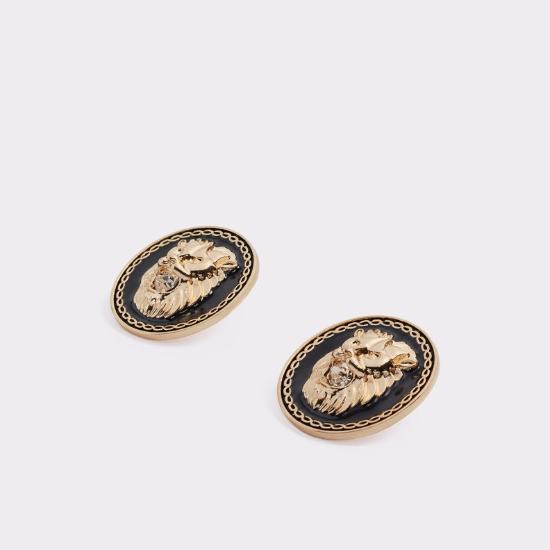 Sold Out Wigolla Earrings Fashion Aldo Black-Gold Multi