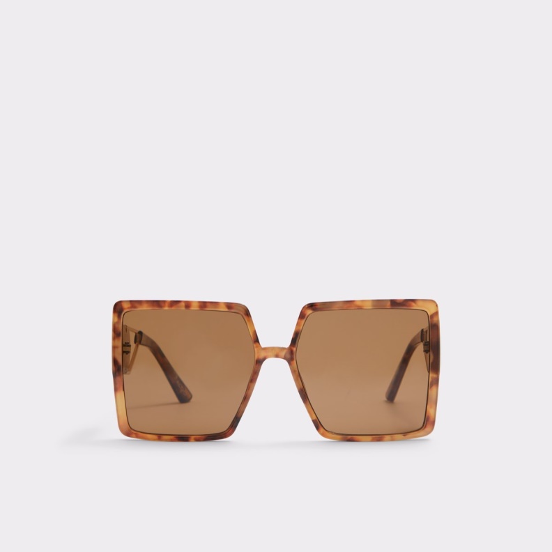 Fashion Brown Ybaledia Sunglasses Aldo