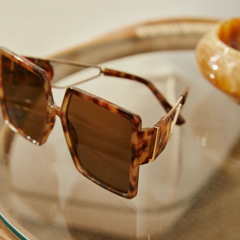 Fashion Brown Ybaledia Sunglasses Aldo