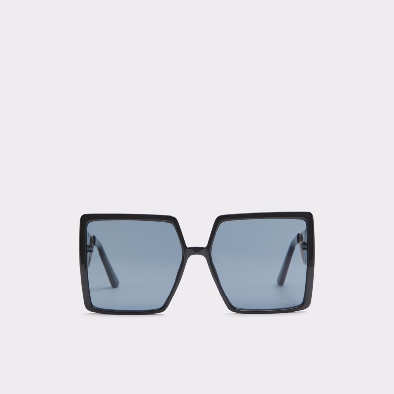 Fashion Aldo Black-Gold Multi Ybaledia Sunglasses