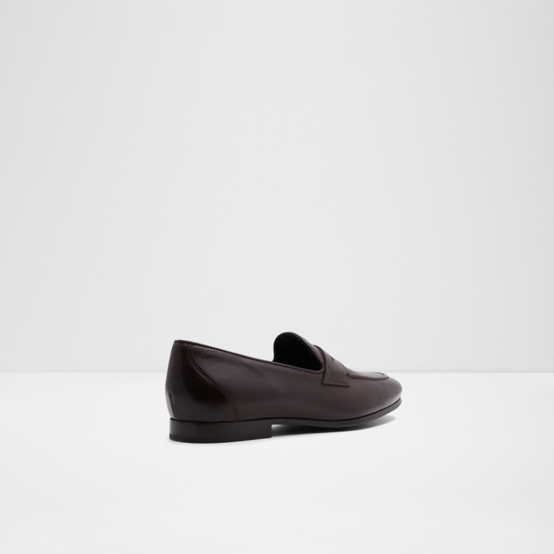 Aldo Fashion Zouk Loafer Brown