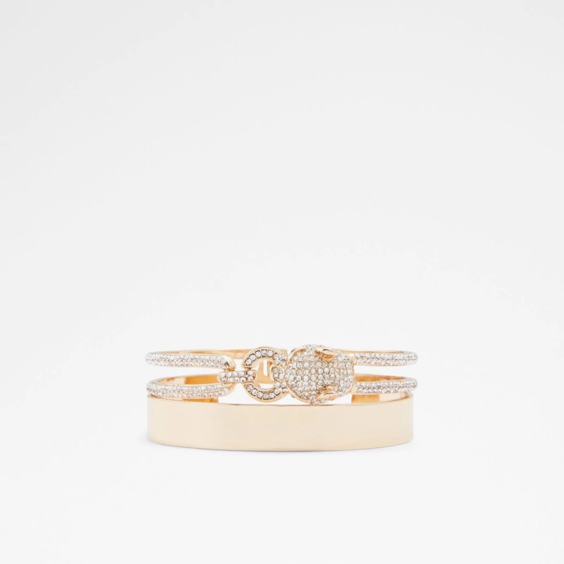 Aldo Wiciredda Bracelets Multi Fashion