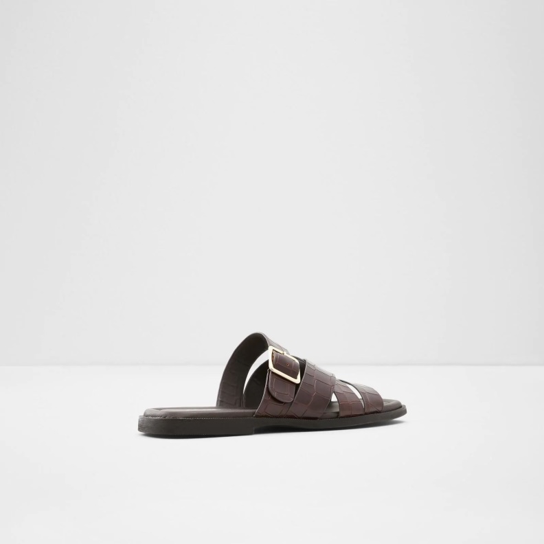 Brown Dampel Flat Sandals Aldo Fashion