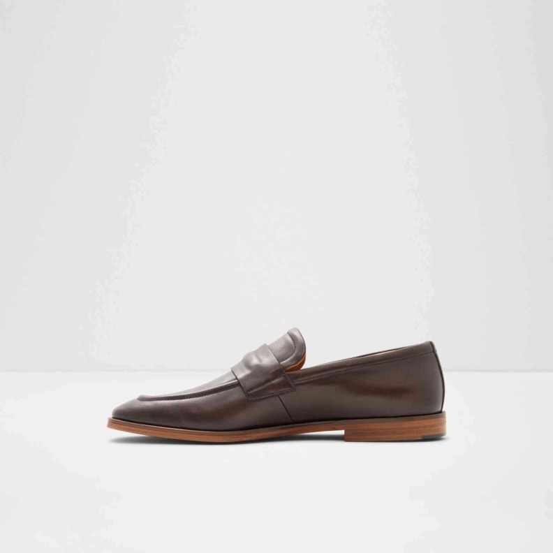 Brown Fashion Aldo Bronson Loafers Slip On