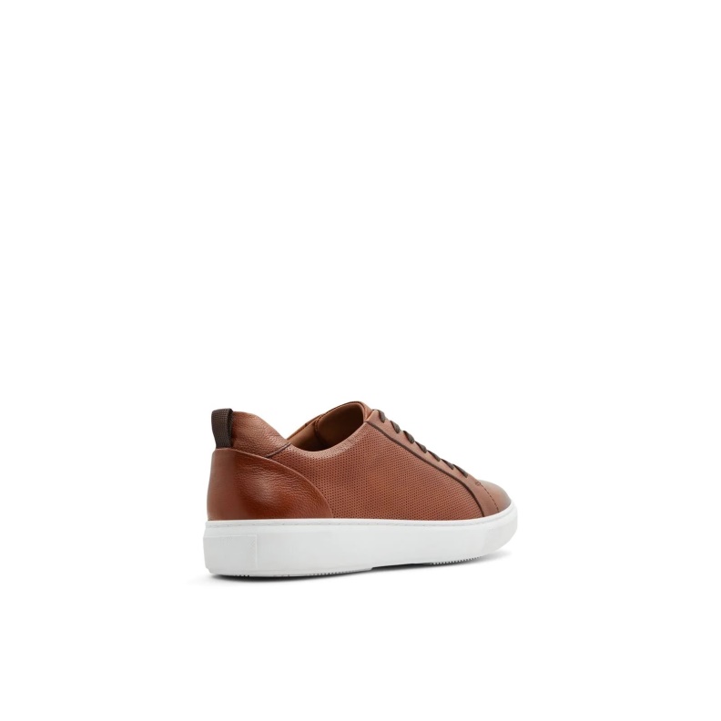 Brown Holmes Low Top Sneakers Lace Up Fashion Aldo