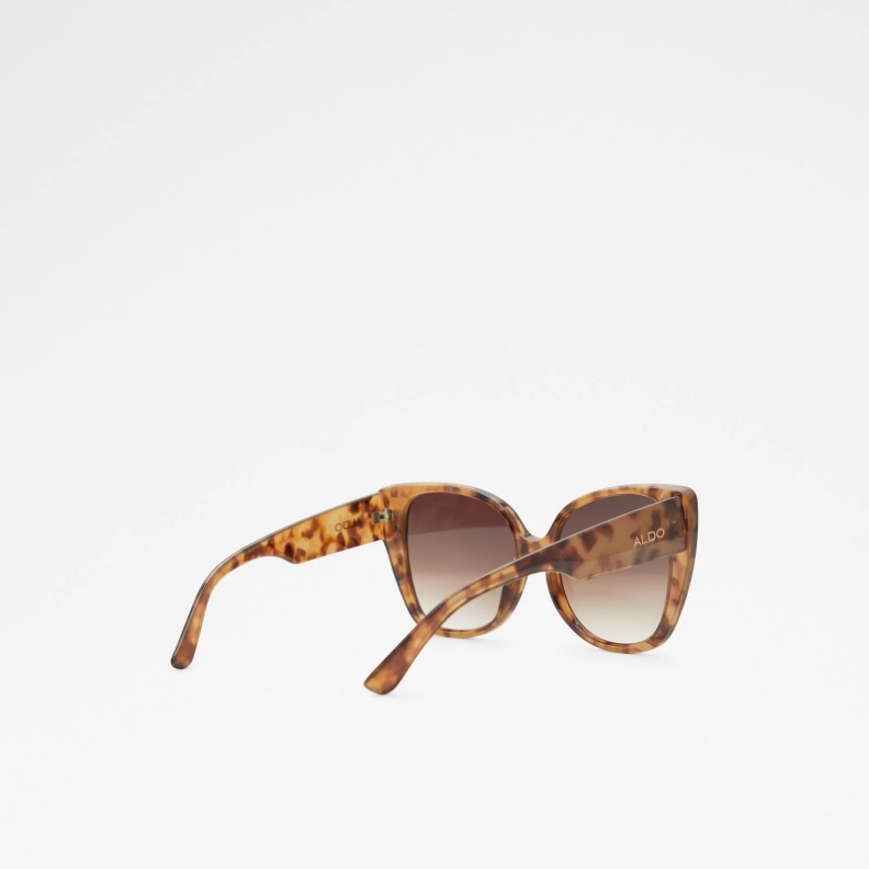 Crericlya Aldo Fashion Brown