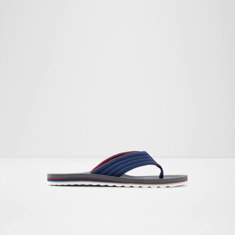 Fashion Aldo Proicien Flip Flops Blue