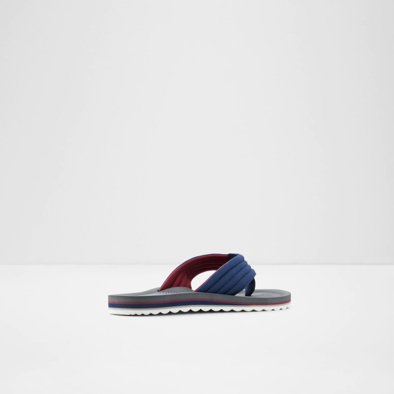Fashion Aldo Proicien Flip Flops Blue