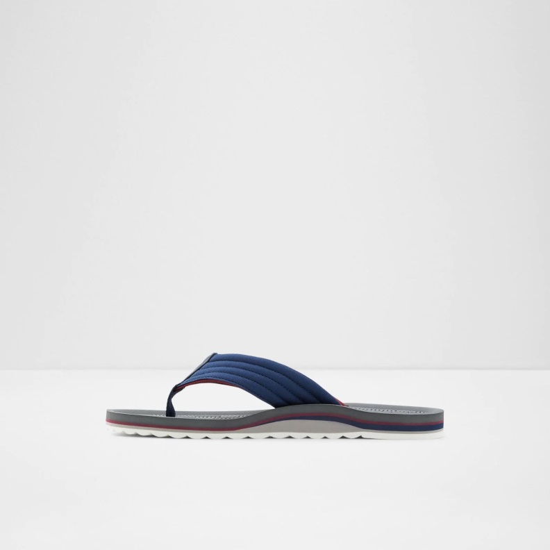 Fashion Aldo Proicien Flip Flops Blue