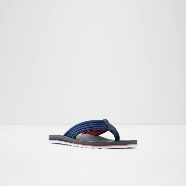 Fashion Aldo Proicien Flip Flops Blue