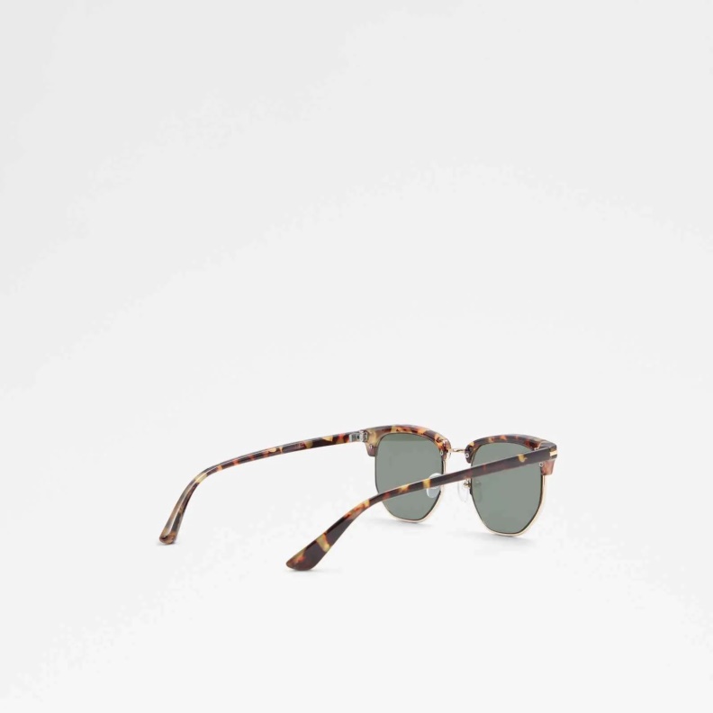 Masao Sunglasses Aldo Fashion Brown