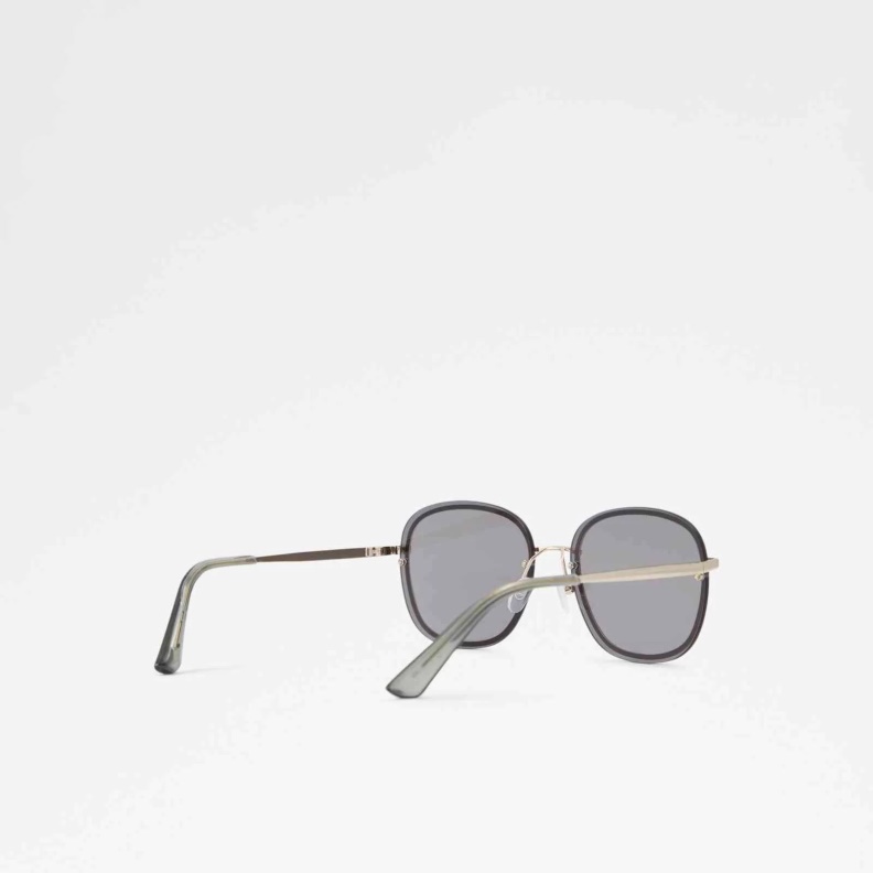 Multi Aldo Fashion Yorgos Sunglasses