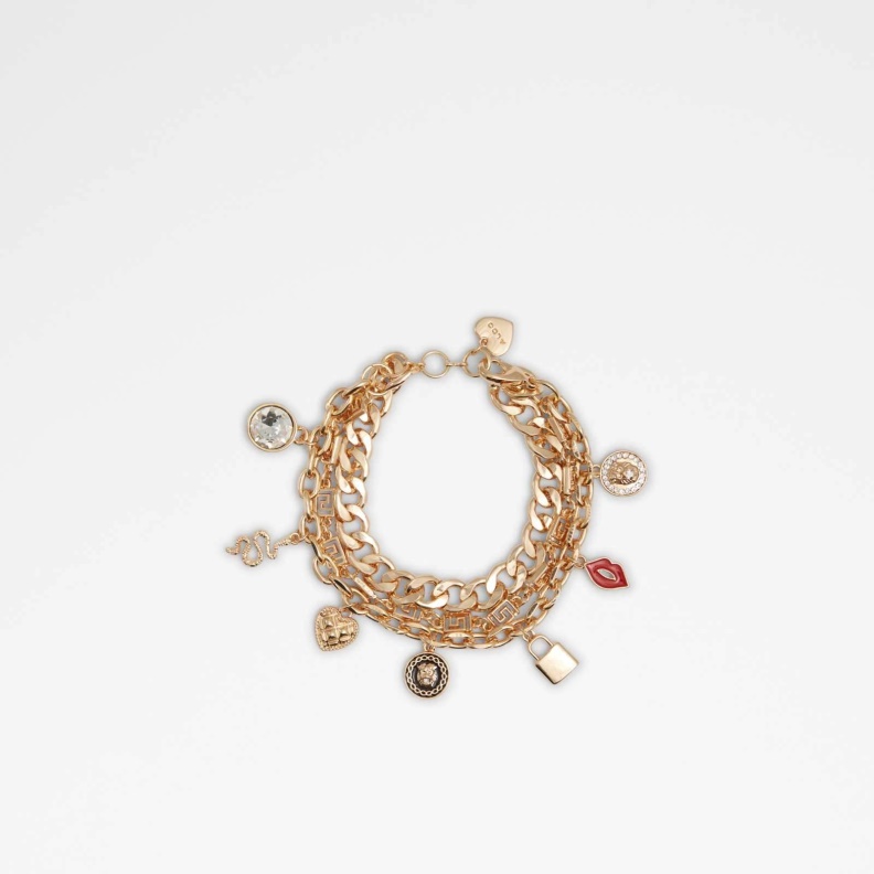 Multi Kalugin Bracelets Fashion Aldo