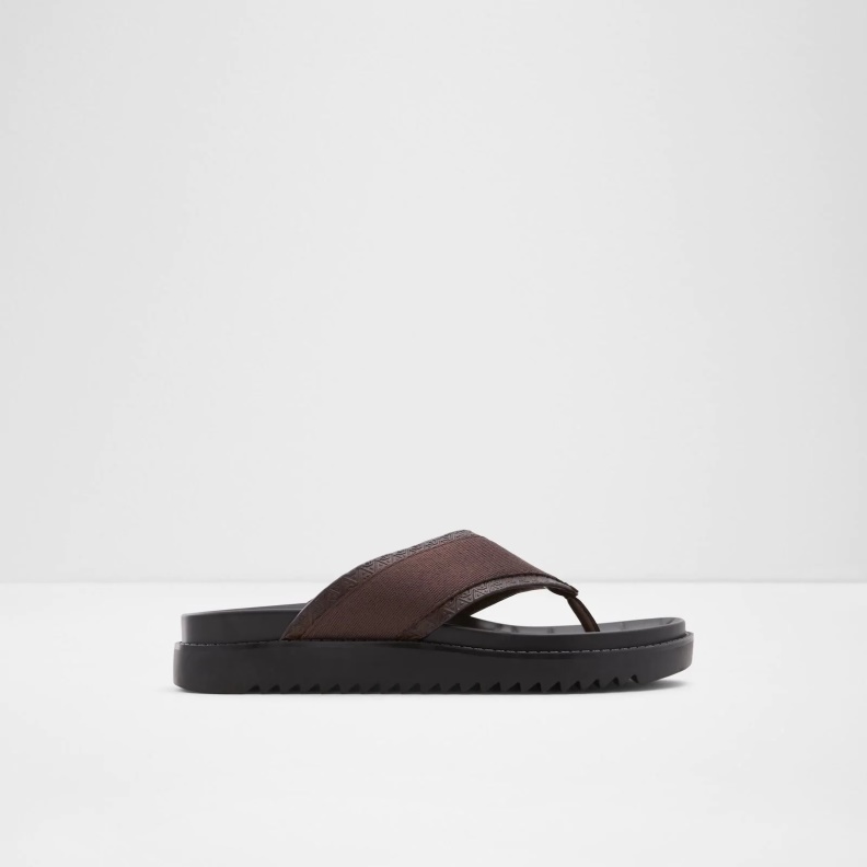 Rondo Flat Sandals Aldo Fashion Brown