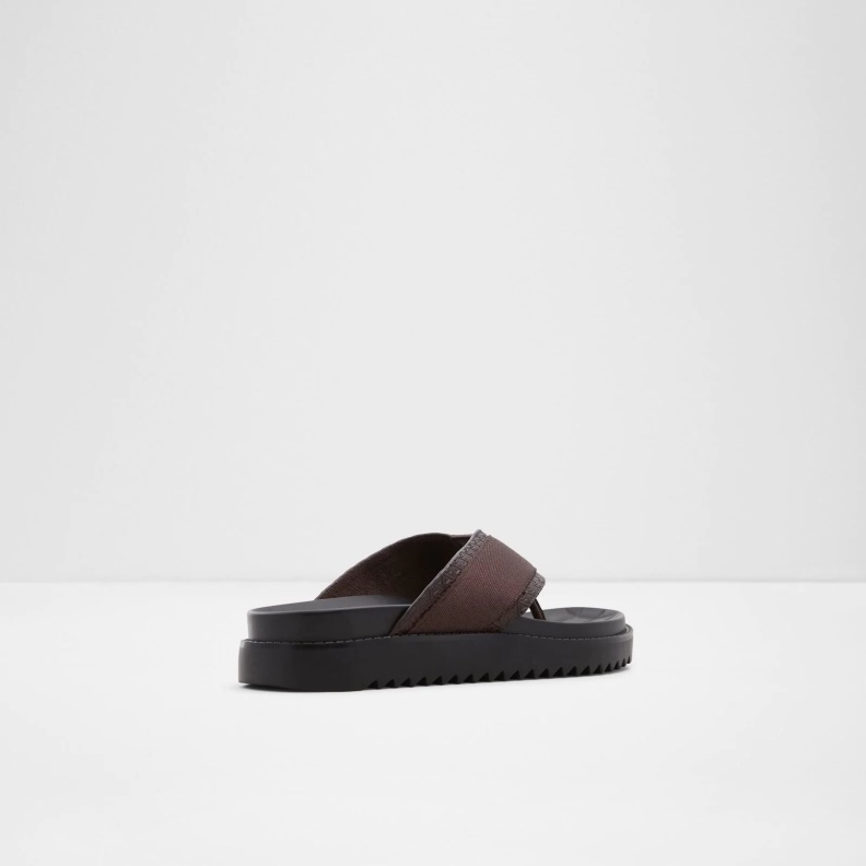 Rondo Flat Sandals Aldo Fashion Brown