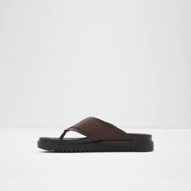Rondo Flat Sandals Aldo Fashion Brown