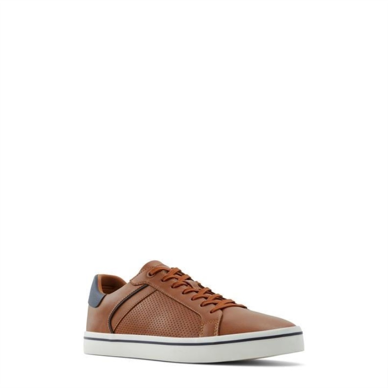 Cognac Fashion Aldo Aldo Warrem Trainers