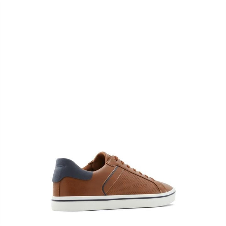 Cognac Fashion Aldo Aldo Warrem Trainers