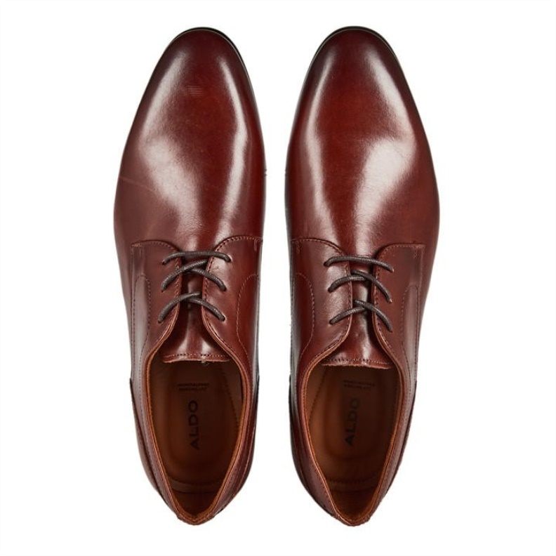 Fashion Aldo Brown Aldo Aldo Delfordflex Sn24