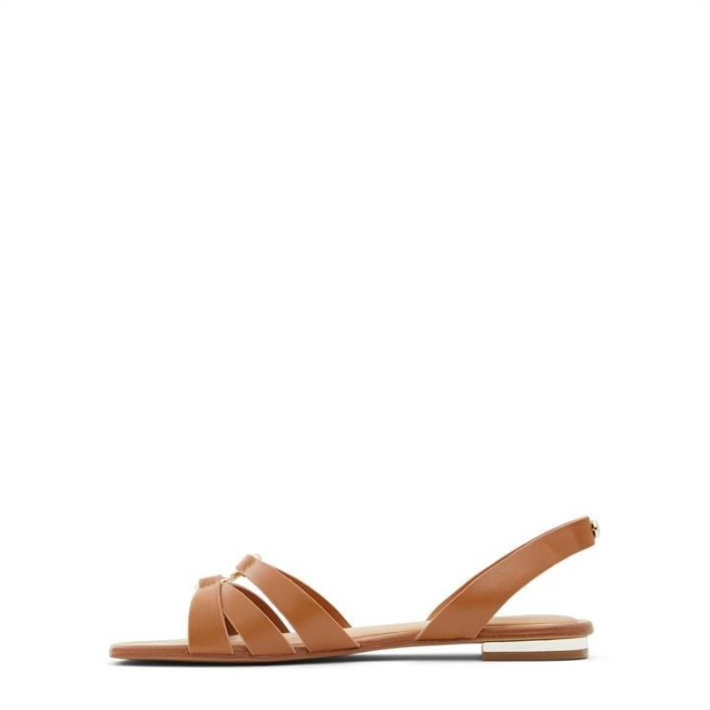Fashion Aldo Brown Aldo Marassi Flat Sandals
