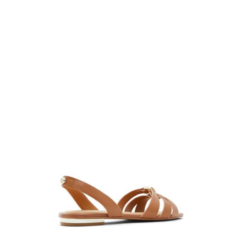 Fashion Aldo Brown Aldo Marassi Flat Sandals