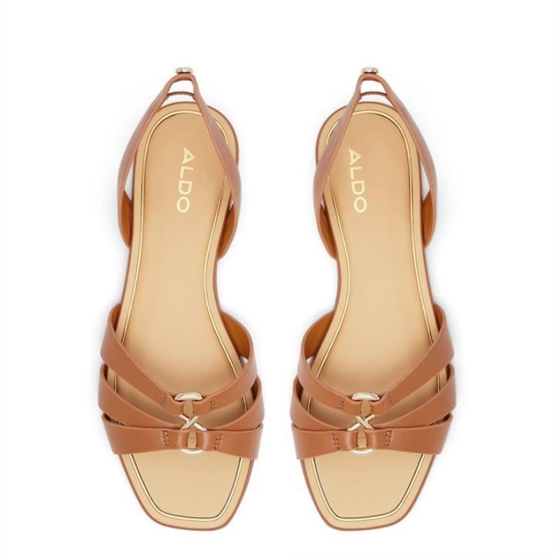 Fashion Aldo Brown Aldo Marassi Flat Sandals