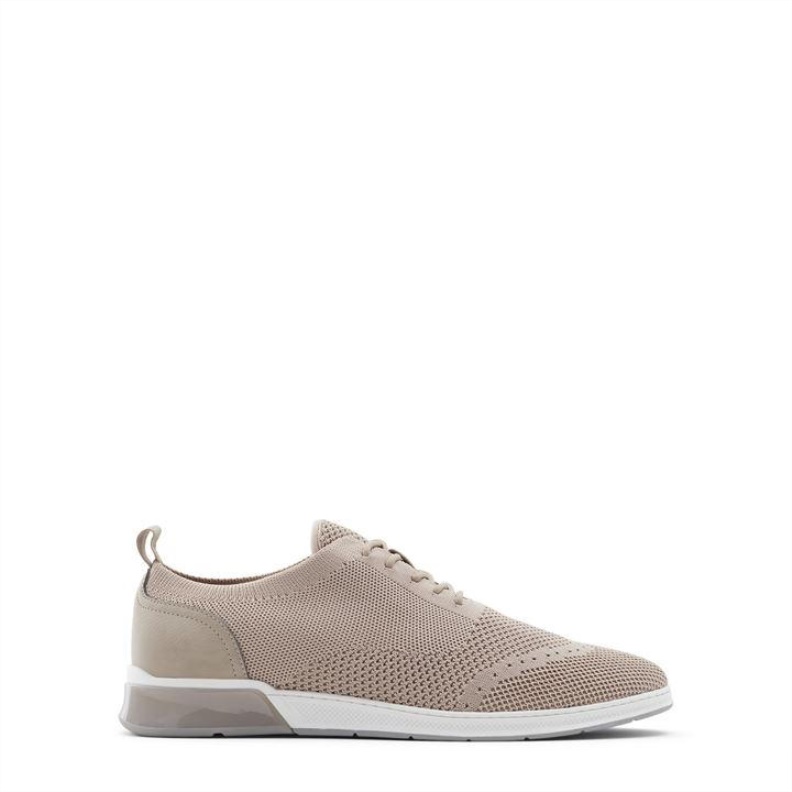 Fashion Aldo Other Brown Aldo Ingenio Trainers