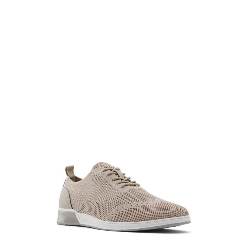 Fashion Aldo Other Brown Aldo Ingenio Trainers