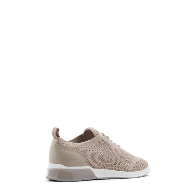 Fashion Aldo Other Brown Aldo Ingenio Trainers