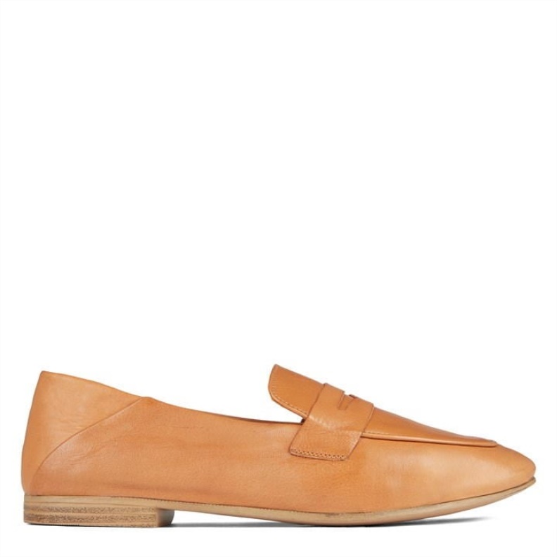 Fashion Med Brown Aldo Aldo Aldo Adelaide Ld24